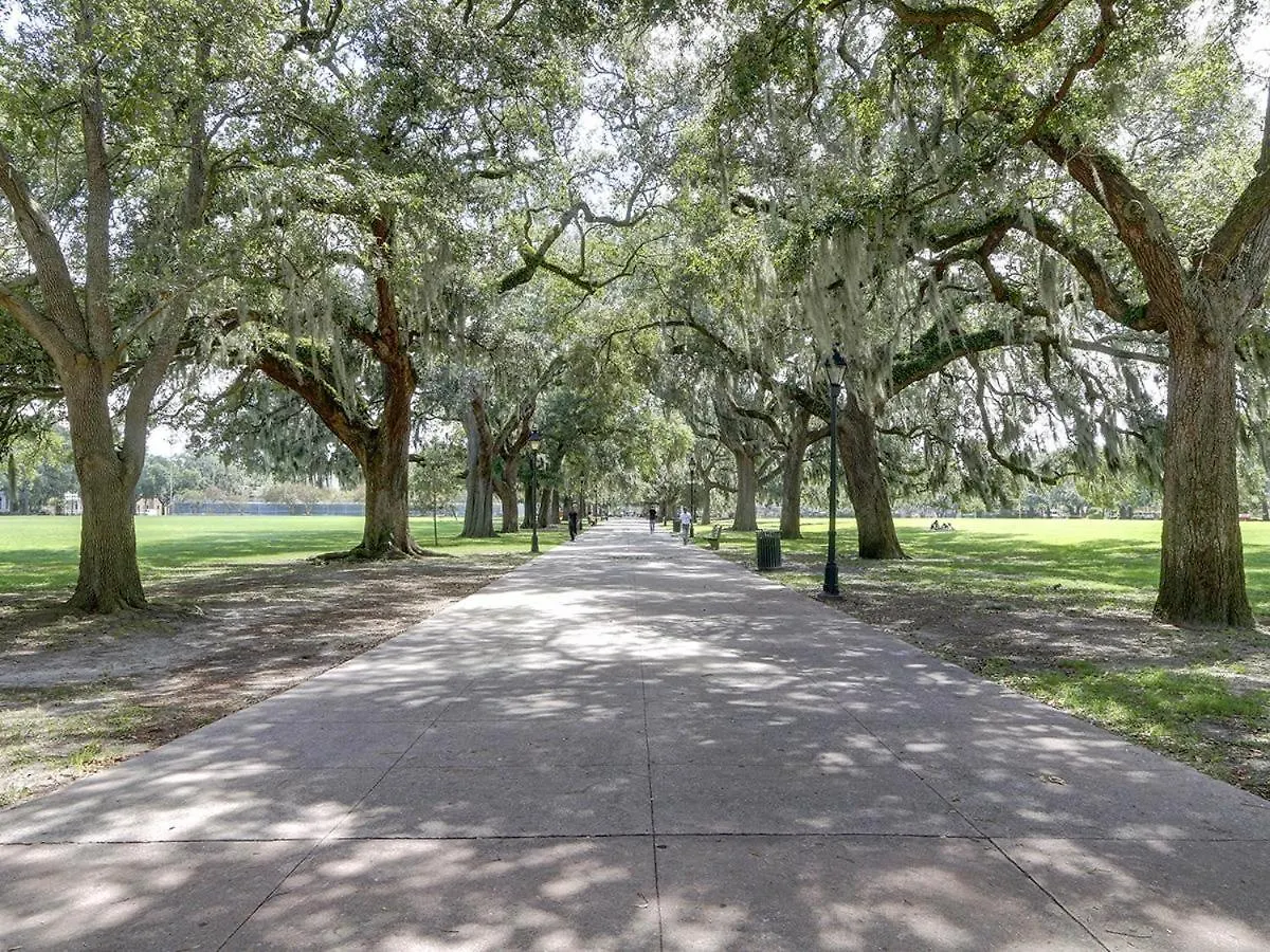 Savannah Nest 0*,  United States
